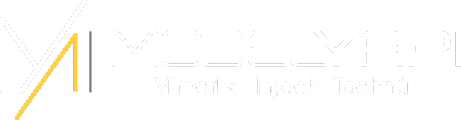 Model Yapı